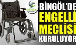 Bingöl’de Engelli Meclisi Kuruluyor