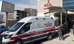 Hakkari'de Minibüs Şarampole Devrildi: 8 Yaralı