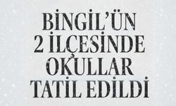 Bingöl'ün 2 ilçesinde okullar tatil edildi