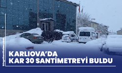 Karlıova’da Kar 30 Santimetreyi Buldu