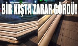 Bingöl'de Kent Meydanı'nda Karla Mücadeleden Kalma Tahribat