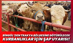 Bingöl’den Trakya Bölgesine Götürülecek Kurbanlıklar İçin Şap Uyarısı!