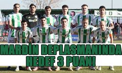 12 Bingölspor, Mardin Deplasmanına Gidecek