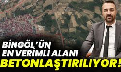 Bingöl’ün En Verimli Alanı Betonlaştırılıyor