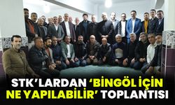 STK’LARDAN ‘BİNGÖL İÇİN NE YAPILABİLİR’ TOPLANTISI