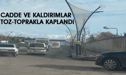 Bingöl'de Cadde ve Kaldırımların Temizlenmesi İsteniyor