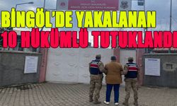 Bingöl'de 30 Yıl Hapis Cezası Bulunan 10 Hükümlü Yakalandı!