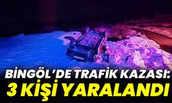 Bingöl’de trafik kazası: 3 yaralı