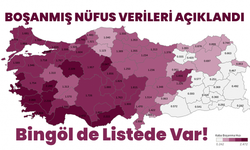 Boşanmış Nüfus Verileri Açıklandı: Bingöl de Listede Var!