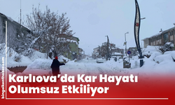Karlıova’da Kar Hayatı Olumsuz Etkiliyor