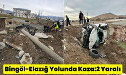 Bingöl-Elazığ Yolunda Kaza: 2 Yaralı
