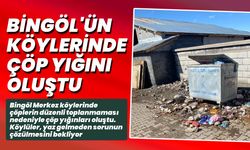 Bingöl'ün Köylerinde Çöp Yığını Oluştu