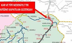 Bingöl’de Tır Trafiğine Kar Engeli