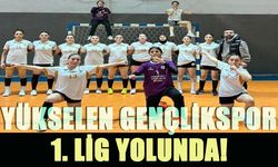 Bingöl Yükselen Gençlikspor, 1. Lig Yolunda!