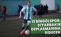 12 Bingölspor, Diyarbakır Deplasmanına Gidecek