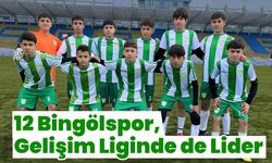 12 Bingölspor, Gelişim Liginde de Lider