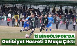 12 Bingölspor’da  Galibiyet Hasreti 3 Maça Çıktı