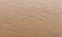 Diyarbakır’da Sel: 45 Koyun Telef Oldu