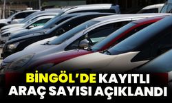 Bingöl’de Kayıtlı Araç Sayısı 26 Bine Yaklaştı