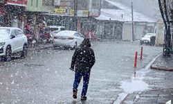 Karlıova’da Mart Sonunda Kar Yeniden Etkili Oldu