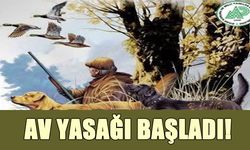 Bingöl'de Av Yasağı Başladı!