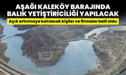 Bingöl'deki Baraj Gölü Balık Yetiştiriciliğine Hazırlanıyor