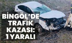 Bingöl’de Trafik Kazası: 1 Yaralı