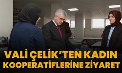 Vali Çelik’ten Kadın Kooperatiflerine Ziyaret
