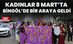 Kadınlar 8 Mart’ta Bingöl’de Bir Araya Geldi
