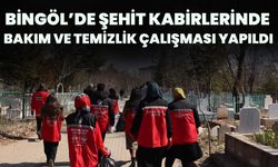Bingöl’de Şehit Kabirlerinde Bakım Ve Temizlik Çalışması Yapıldı