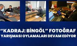 “Kadraj: Bingöl” Fotoğraf Yarışması Oylamaları Devam Ediyor