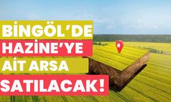 Bingöl’de Hazine’ye Ait Arsa Satılacak!