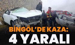 Bingöl’de Kaza: 4 Yaralı