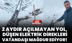 2 Aydır Açılmayan Yol, Düşen Elektrik Direkleri Mağdur Ediyor!