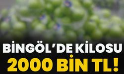 Bingöl’de Kilosu 2000 Bin TL!
