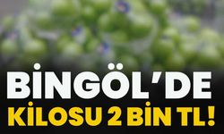 Bingöl’de Kilosu 2 Bin TL!