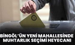 Bingöl’ün Yeni Mahallesinde Muhtarlık Seçimi Heyecanı