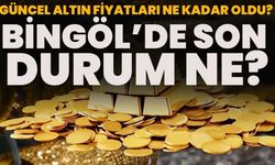 Güncel Altın Fiyatları Ne Kadar Oldu? Bingöl’de Son Durum Ne?