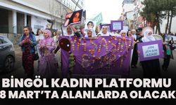 Bingöl Kadın Platformu 8 Mart’ta Alanlarda Olacak