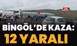 Bingöl’de Kaza: 12 Yaralı