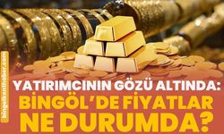 Yatırımcının Gözü Altında: Bingöl’de Fiyatlar Ne Durumda?