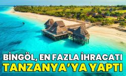 Bingöl, En Fazla İhracatı Tanzanya’ya Yaptı