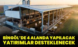 Bingöl’de 4 Alanda Yapılacak Yatırımlar Desteklenecek