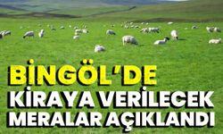 Bingöl’de Kiraya Verilecek Meraların Listesi Açıklandı
