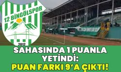 12 Bingölspor, 1 Puanla Yetindi