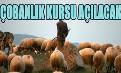 Bingöl’de Çobanlık Kursu Açılacak!