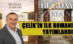 Gazeteci Çelik’in Eseri 'Buğday Zamanı' Çıktı