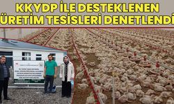 Bingöl’de Kanatlı Eti Üretim Çiftliklerinde Denetim