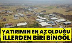 Bingöl İçin Üzücü Tablo: Yatırımın En Az Olduğu İllerden Biri Bingöl