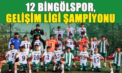 12 Bingölspor U14 Takımı 'Şampiyon' Oldu